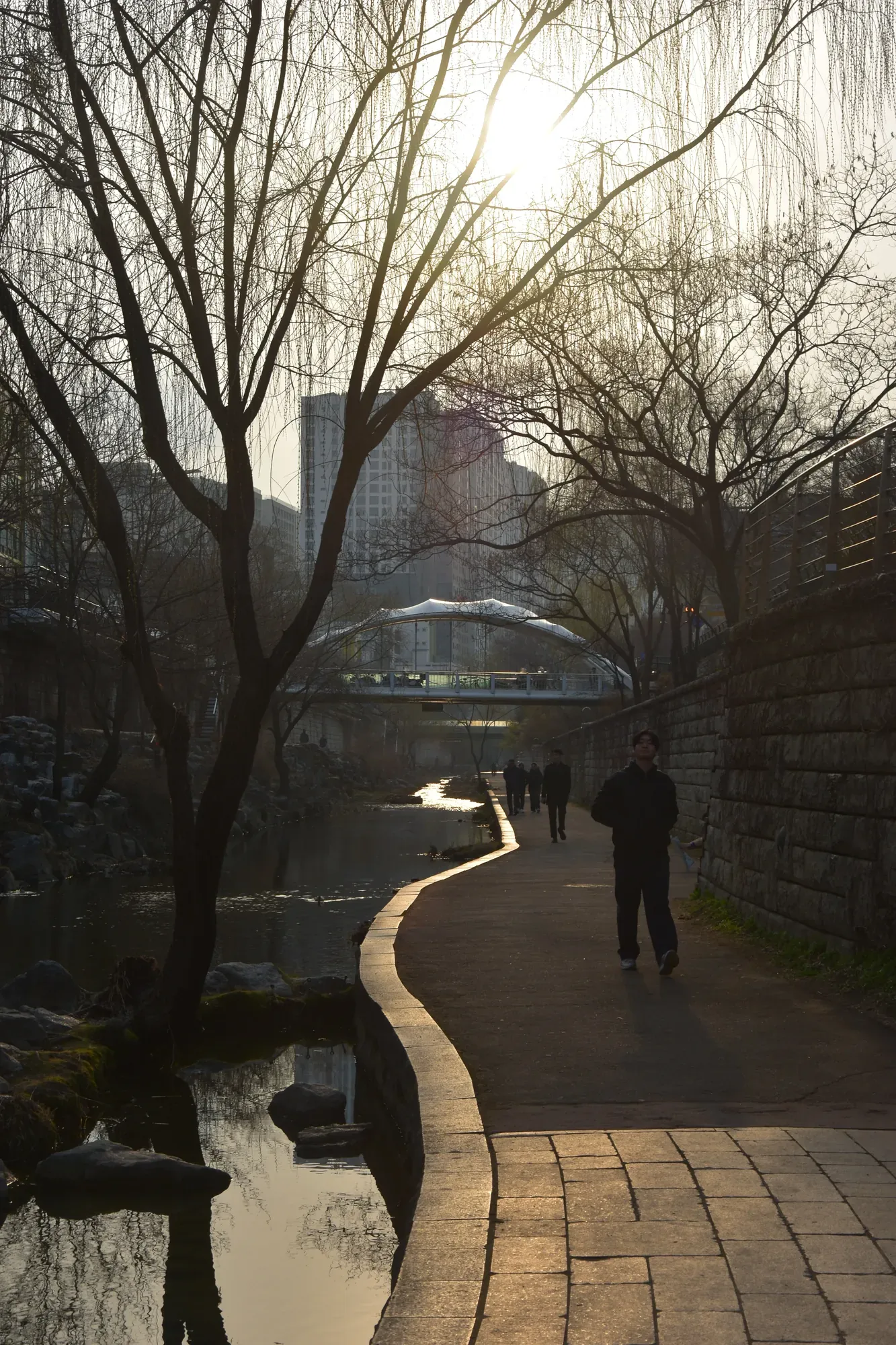 Cheonggyecheon Stream