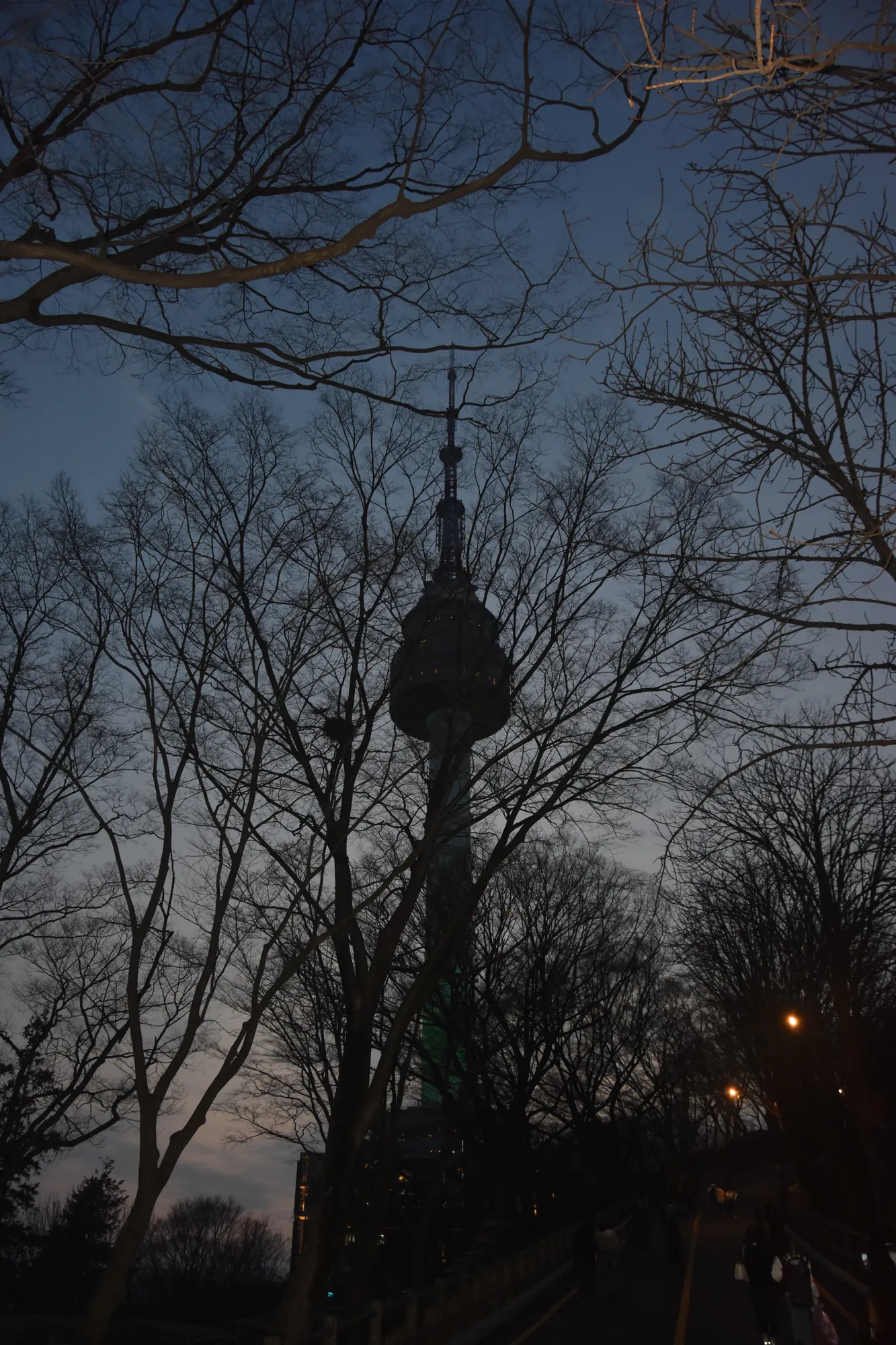 Namsan Tower - March 2026