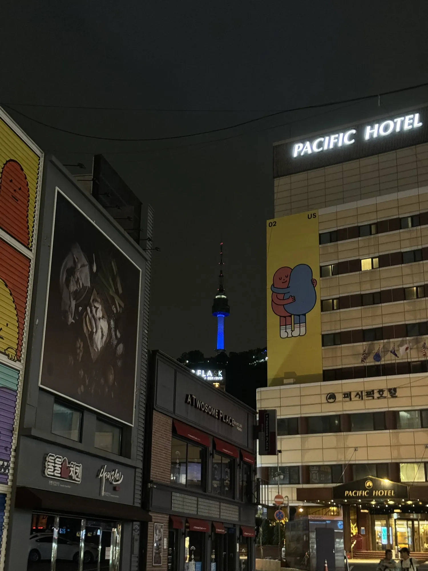 Namsan Seoul Tower (남산서울타워)